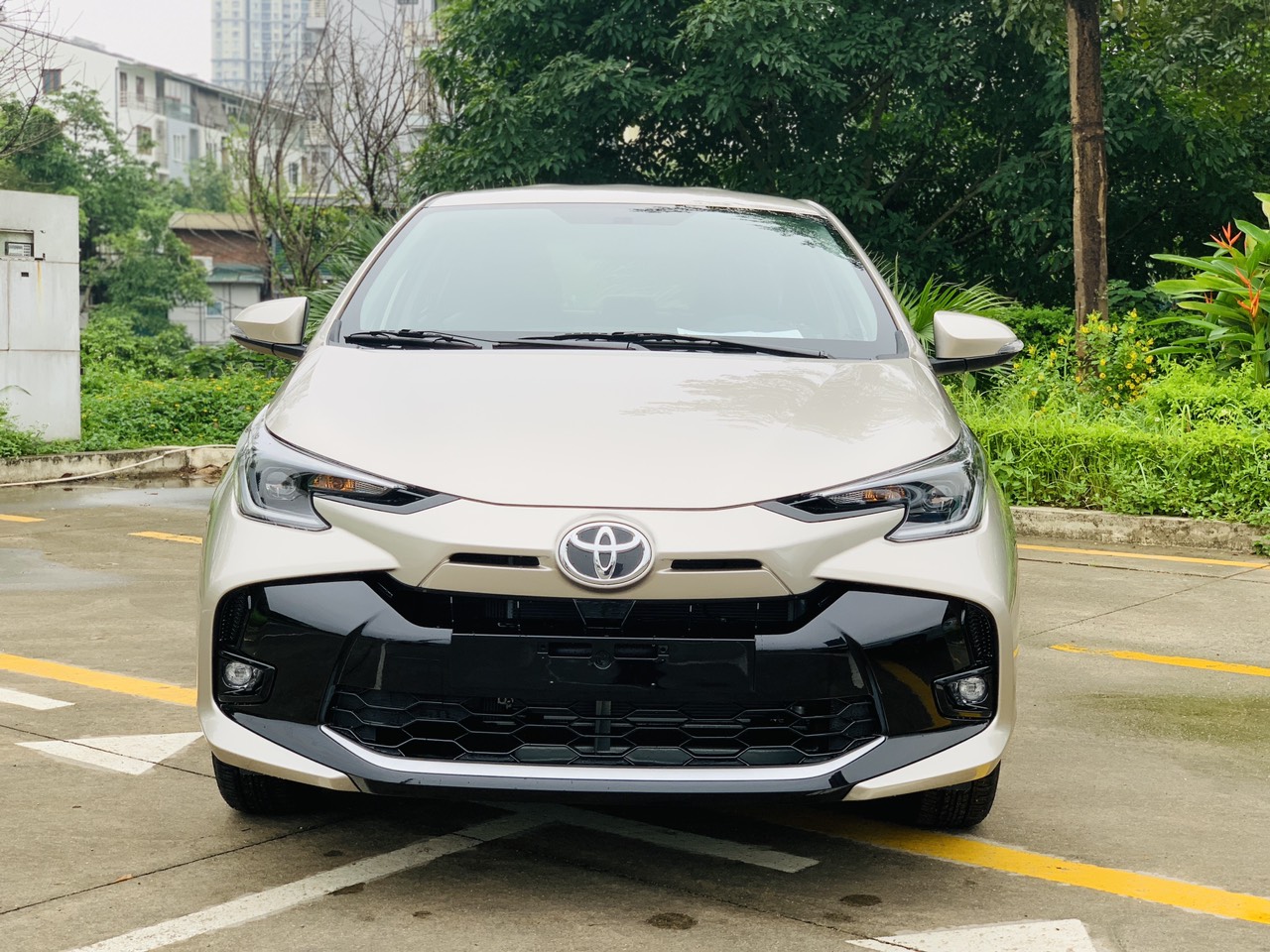 Hình ảnh xe TOYOTA VIOS 1.5MT 2025