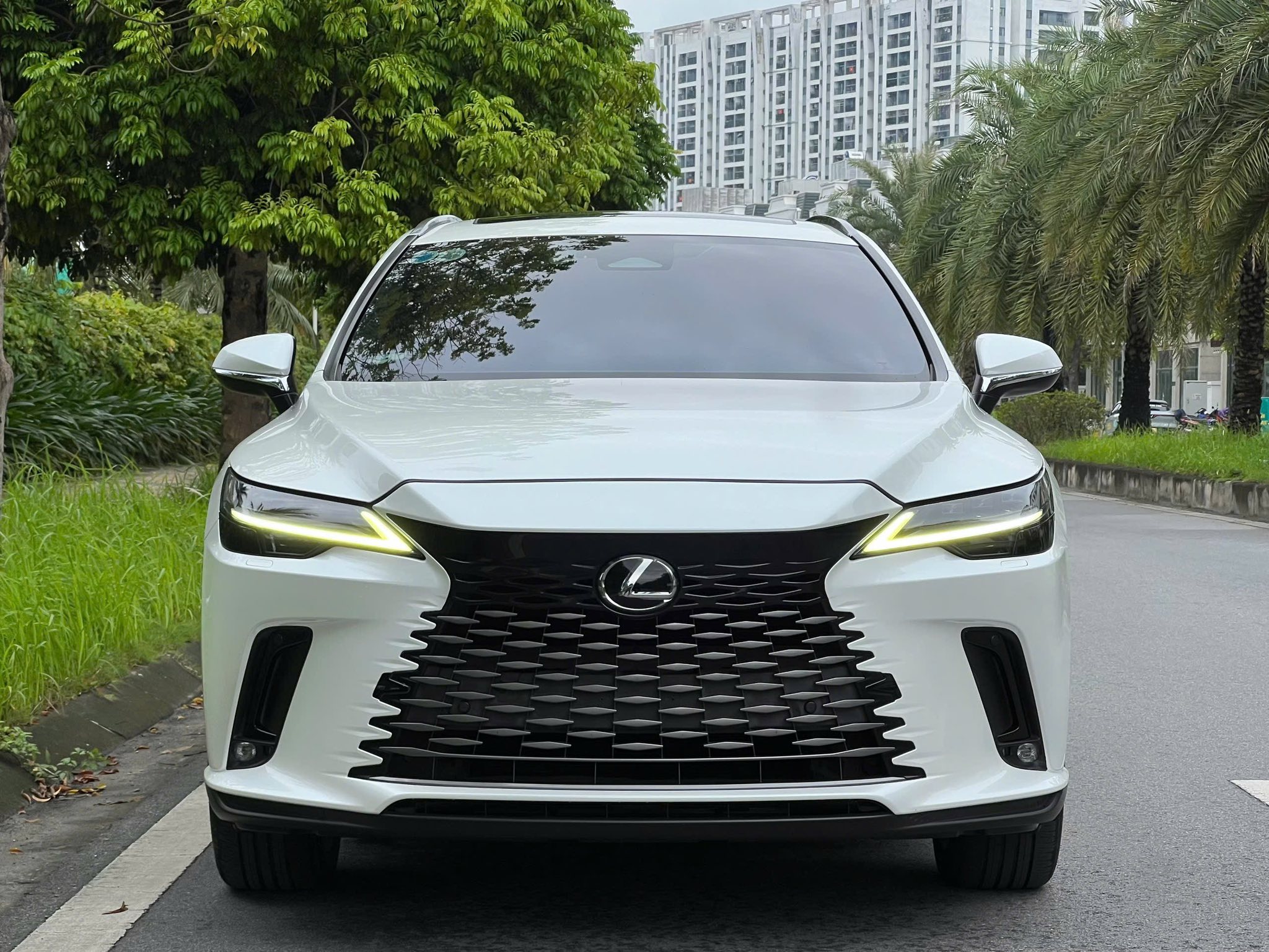 Hình ảnh xe LEXUS RX 350 PREMIUM 2023