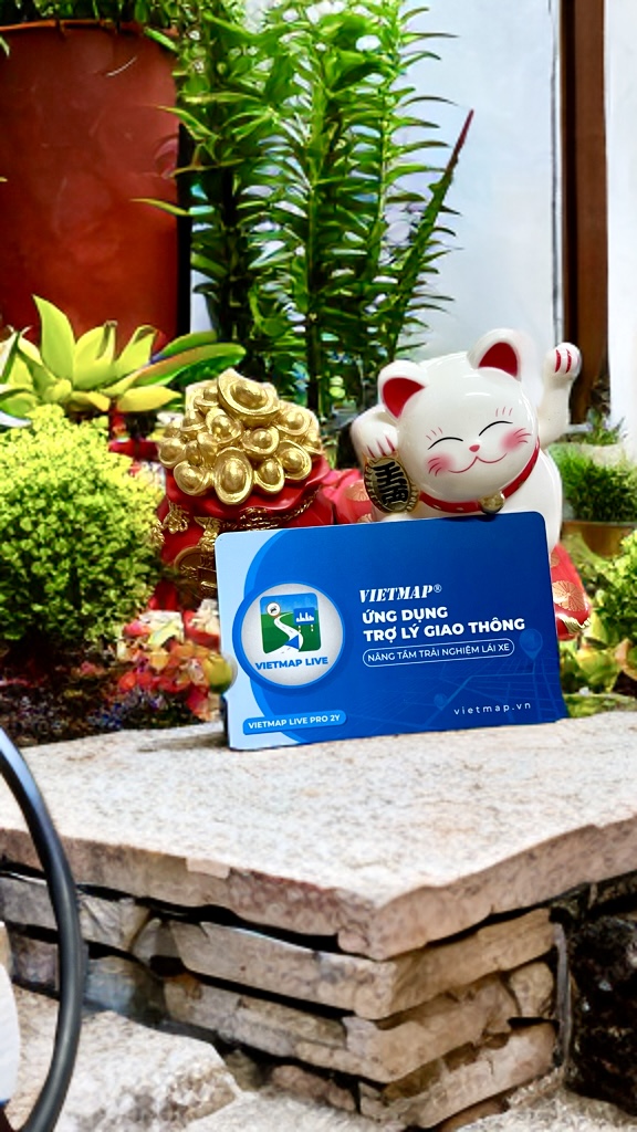 Hình ảnh phụ kiện VIETMAP LIVE PRO 2 NĂM 