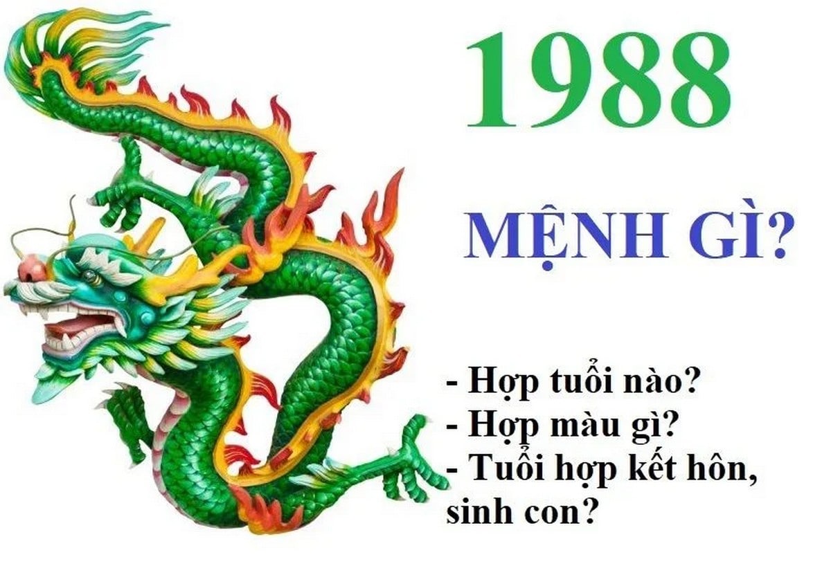 1988 mệnh Mộc