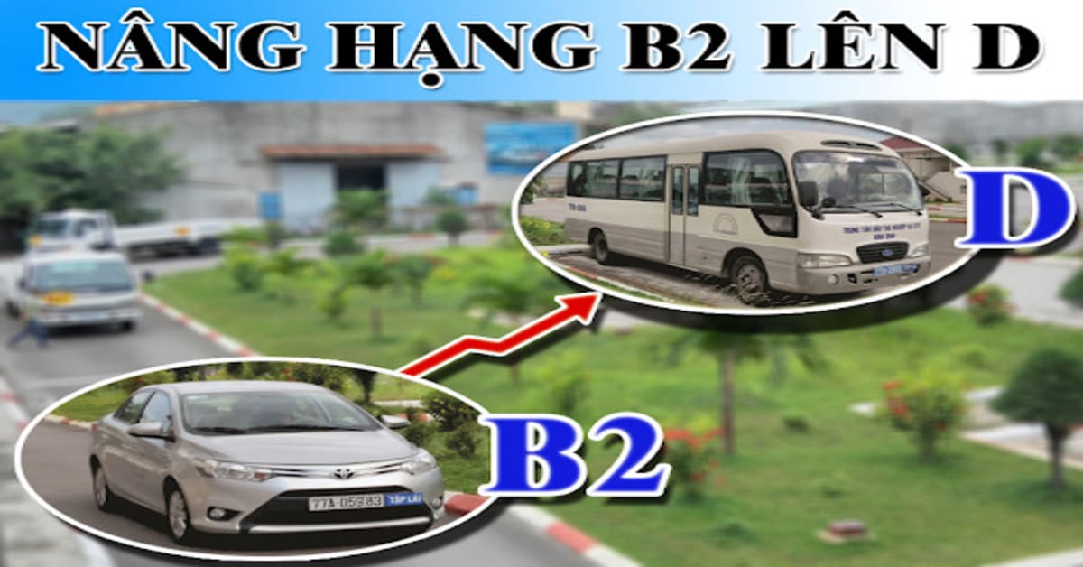 bằng D lái xe gì