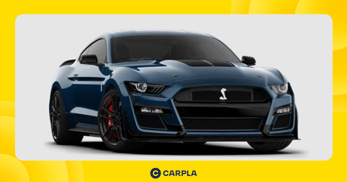 Hình ảnh bài viết: Ford Mustang: Giá lăn bánh mới nhất tháng 10/2025