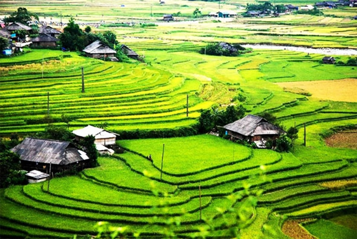 Cao nguyên Sìn Hồ