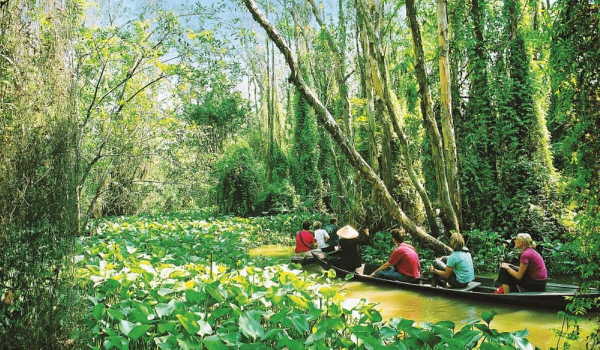 Chèo xuồng trong rừng Vàm Sát