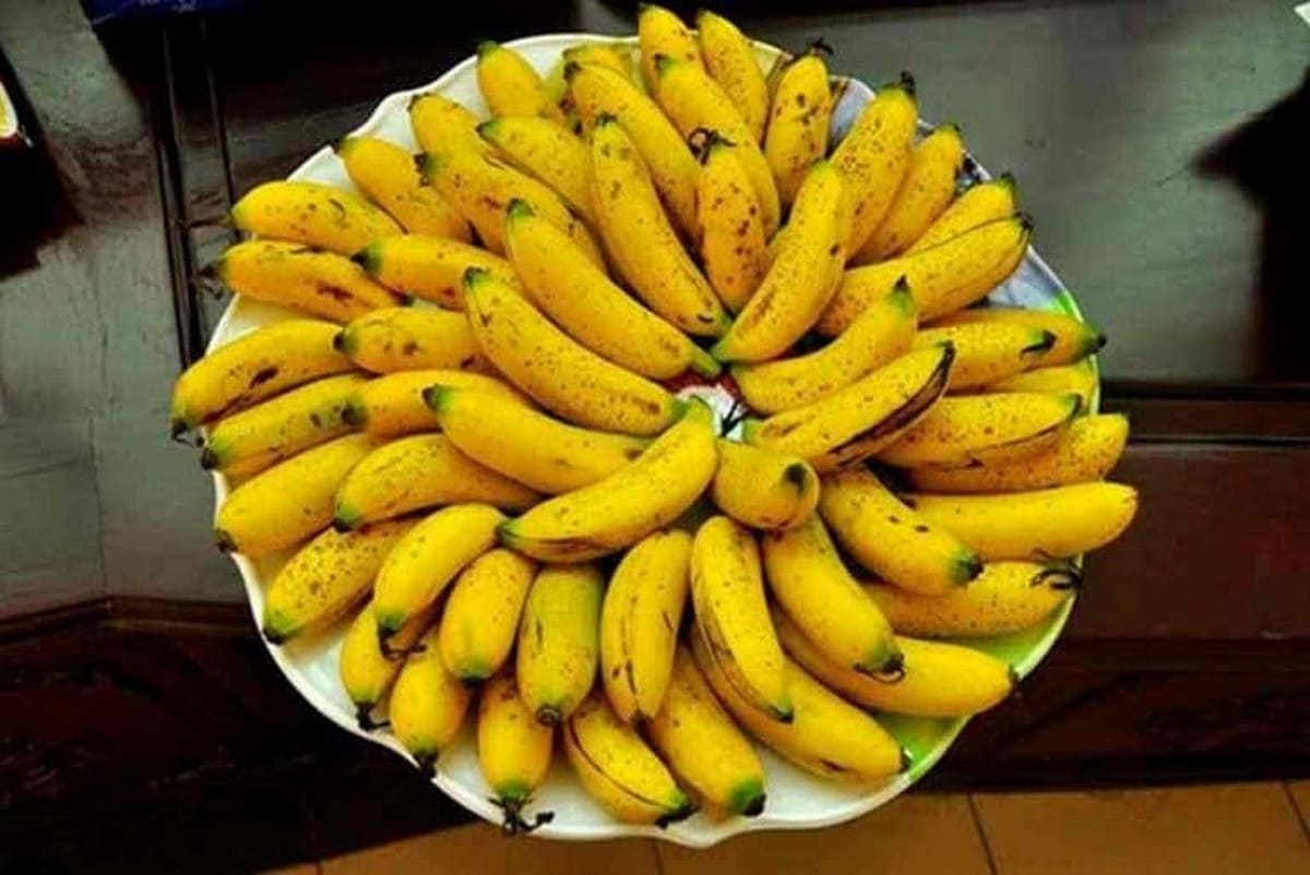 Chuối ngự Đại Hoàng