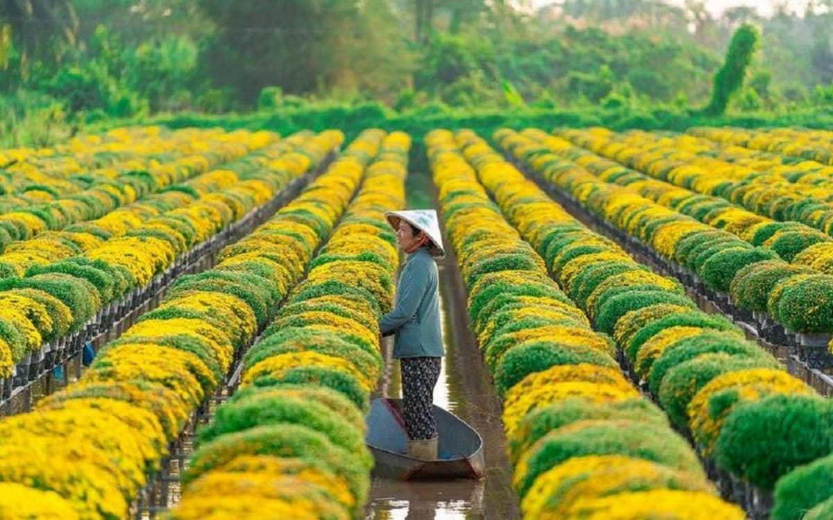 Địa điểm vui chơi Đồng Tháp