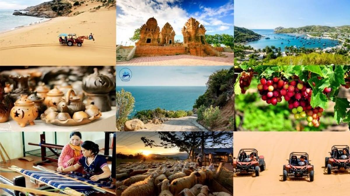 Địa điểm vui chơi tại Ninh Thuận&nbsp;