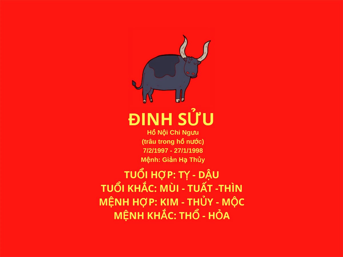 Đinh Sửu 1997 hợp với tuổi nào?