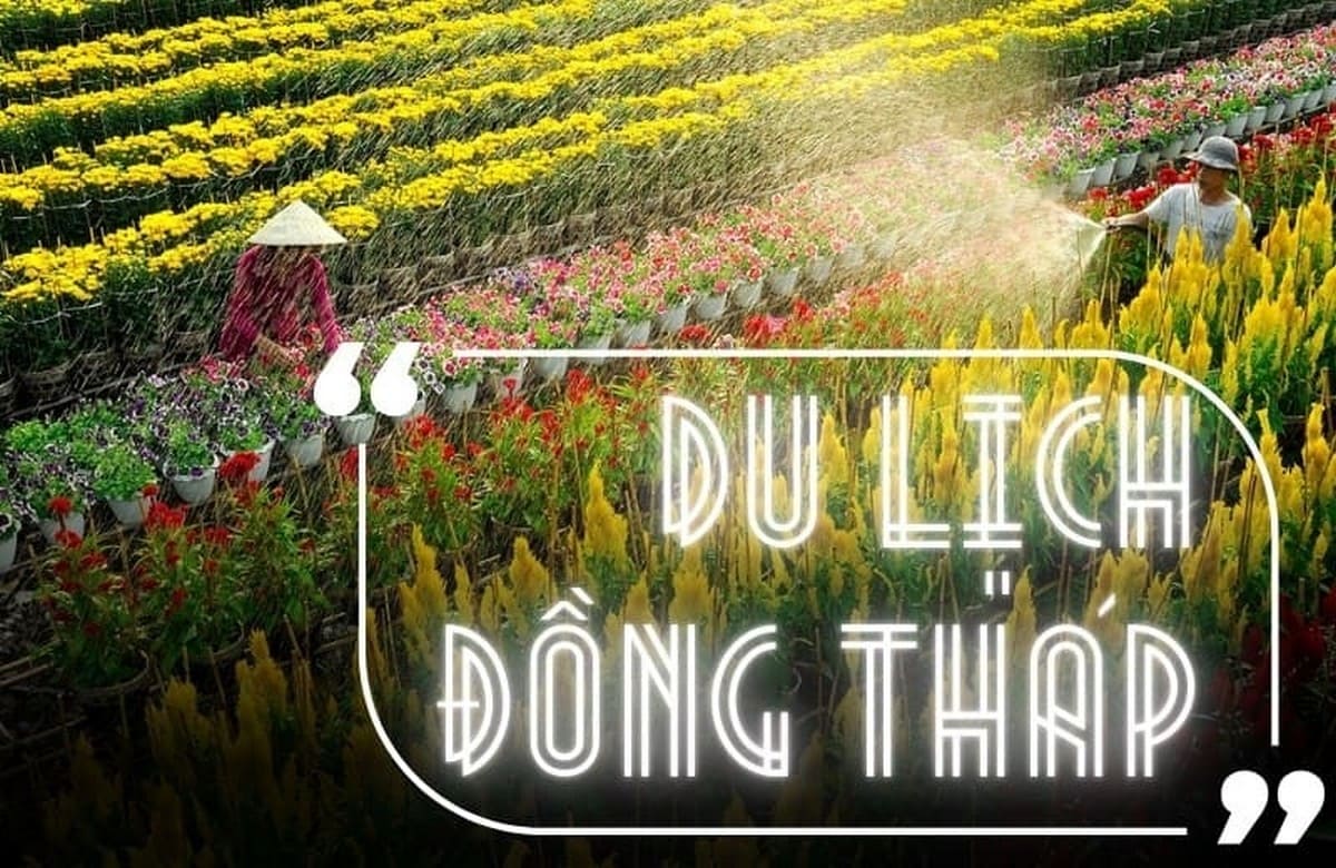 Du lịch Đồng Tháp