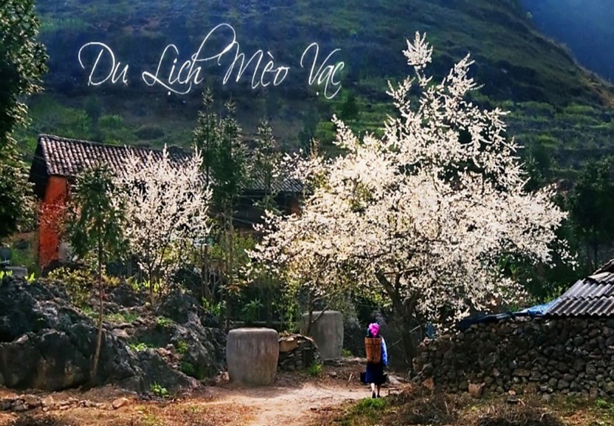 Du lịch Mèo Vạc