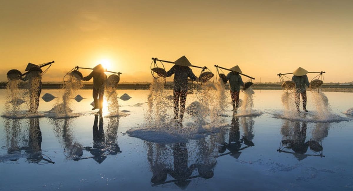 Du lịch Nam Định mùa đẹp nhất