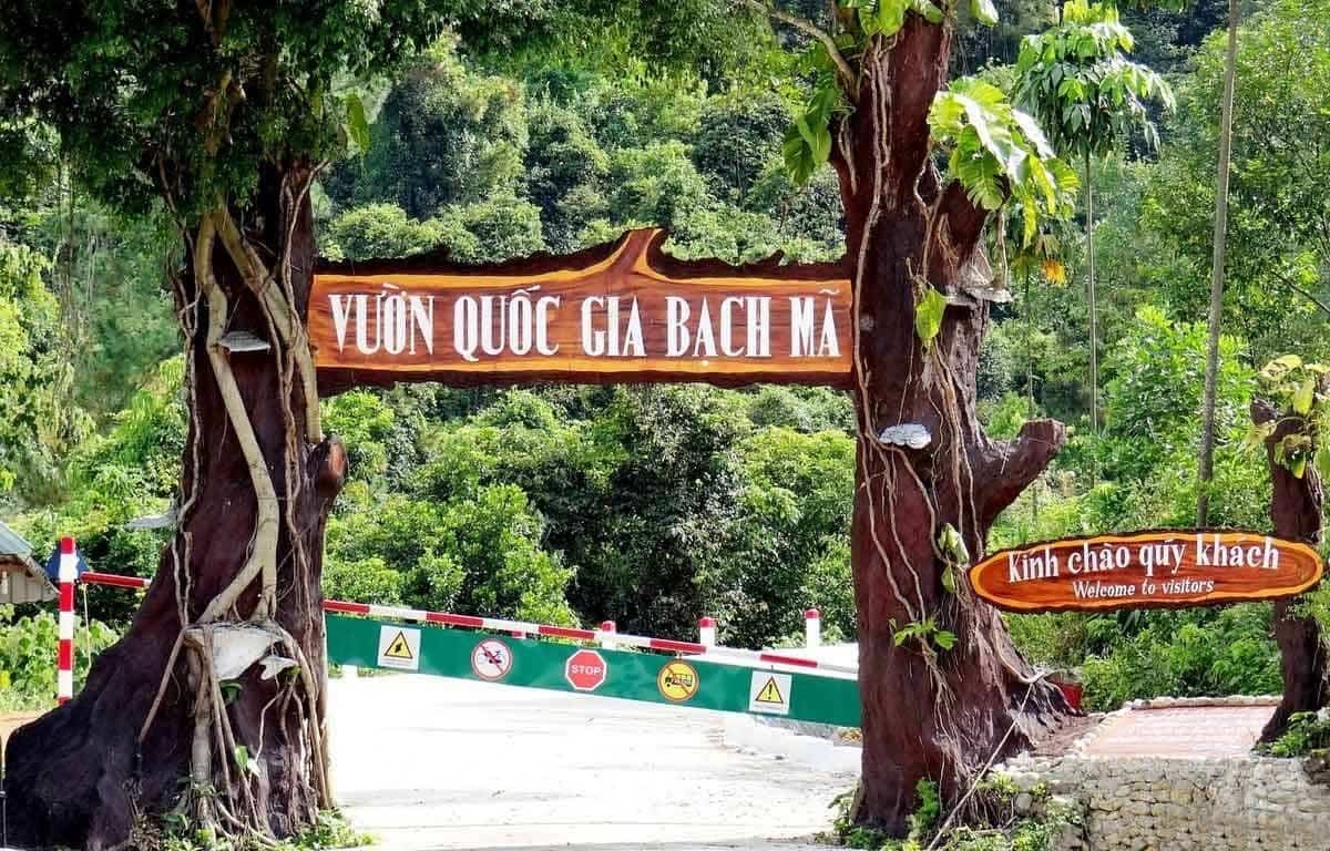 Du lịch vườn Quốc gia Bạch Mã