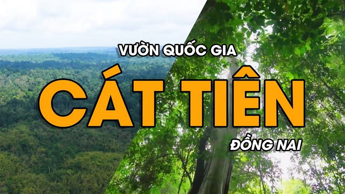 Du lịch vườn quốc gia Cát Tiên