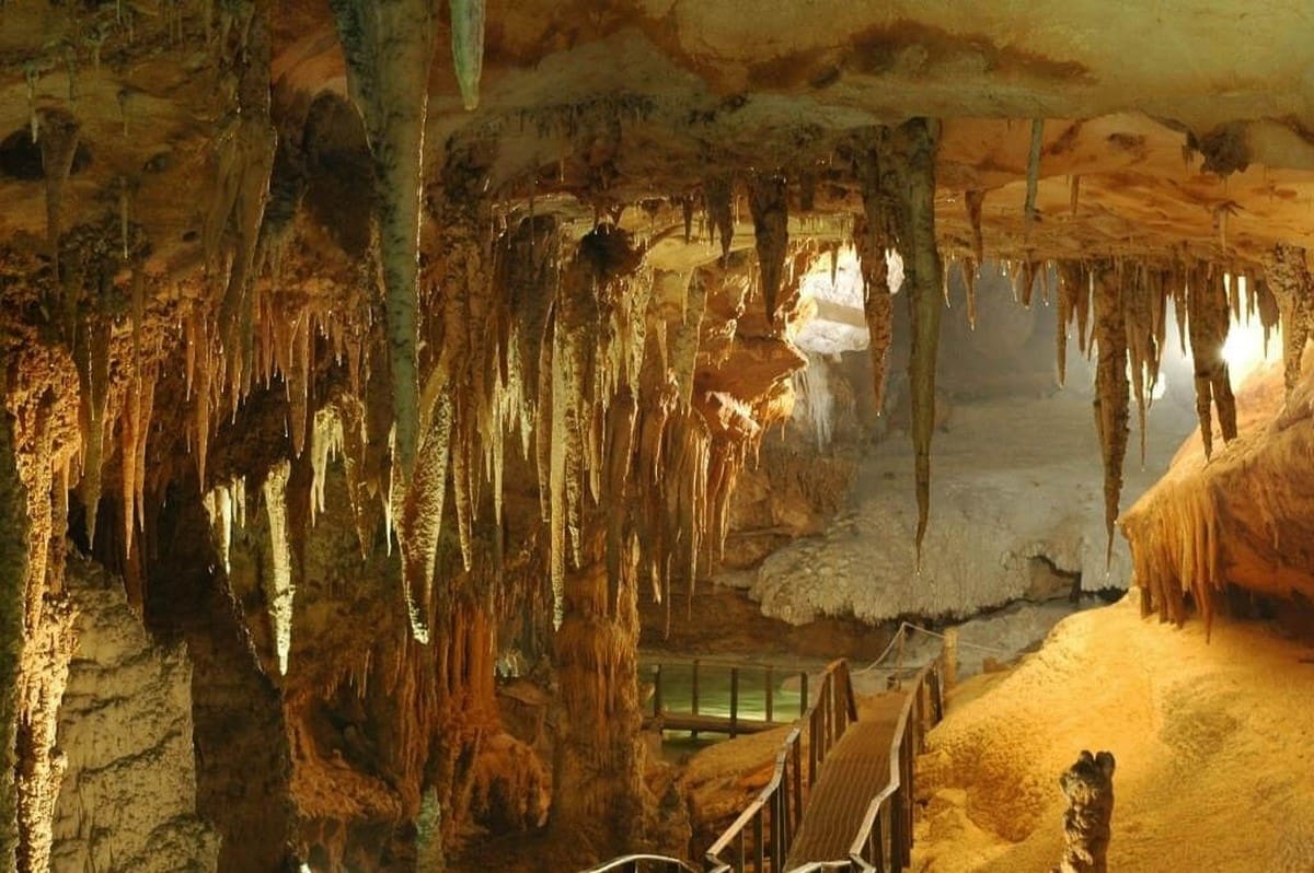 Hang Dơi