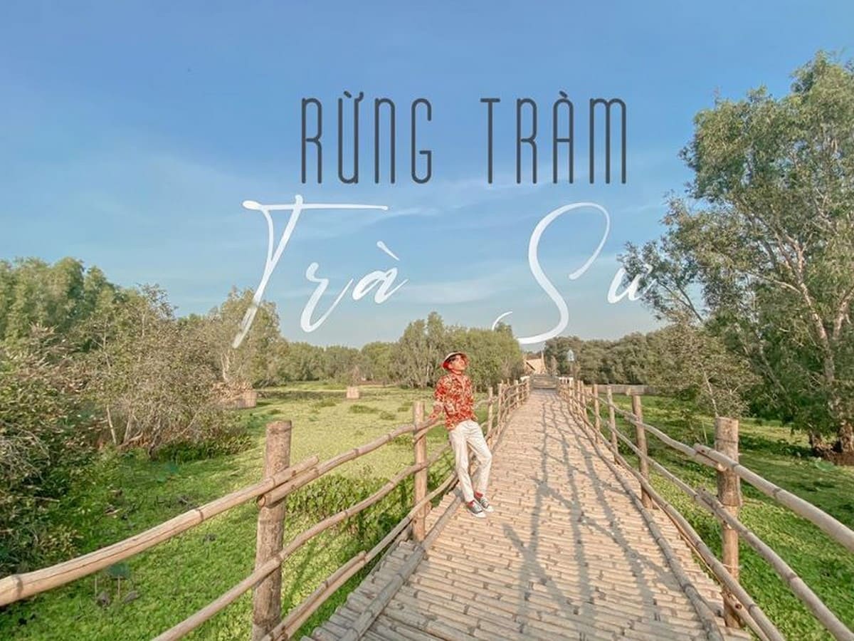 Chụp ảnh trên cầu tre rừng tràm trà sư