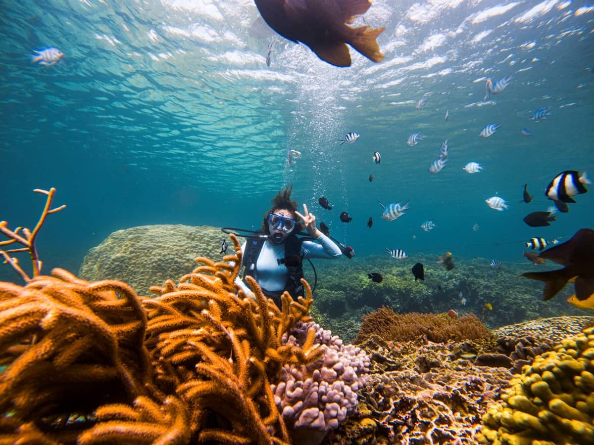 Lặn ngắm san hô ở Bãi Nhà Cũ