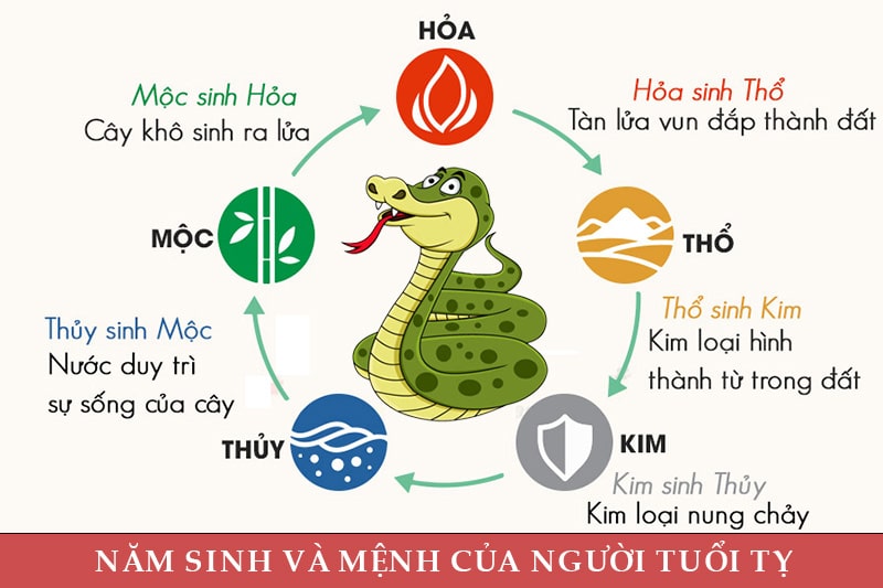 Mệnh theo năm sinh của người tuổi Tỵ