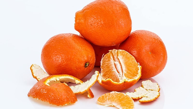 Mẹo chống say xe ô tô hiệu quả