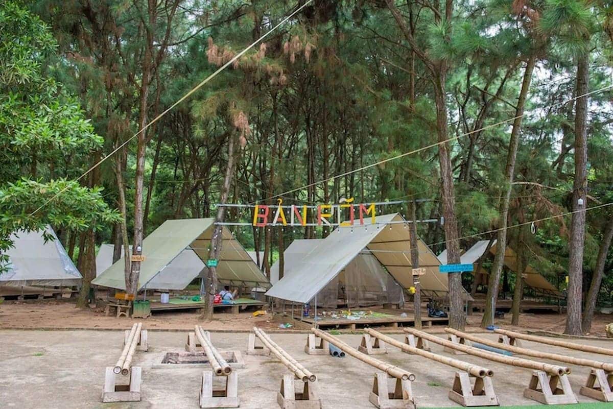 Rừng thông Bản Rõm