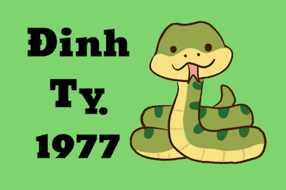 Sinh năm 1977 cung gì?