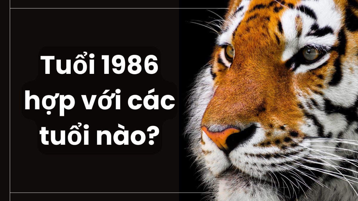 Sinh năm 1986 hợp với tuổi nào?