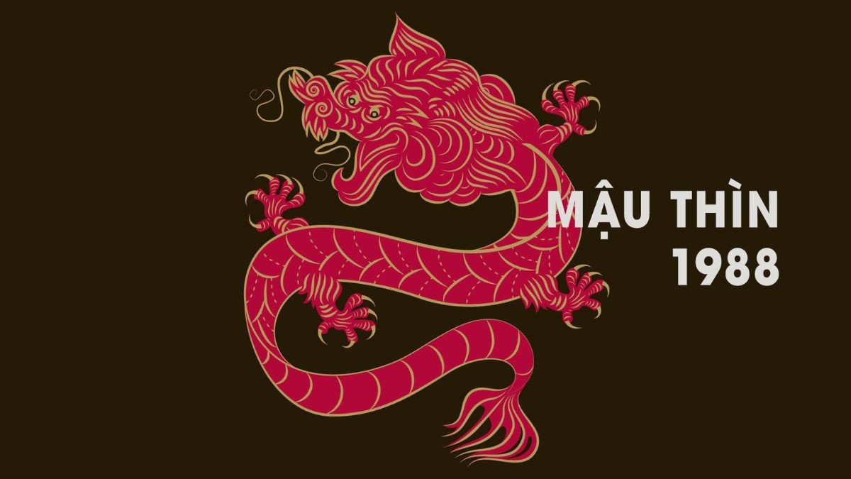 Sinh năm 1988 hợp con số nào?