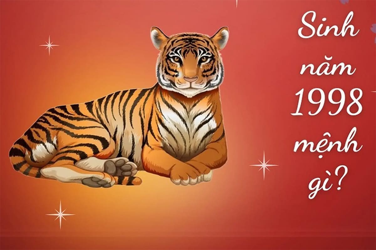 Sinh năm 1998 mệnh Thổ