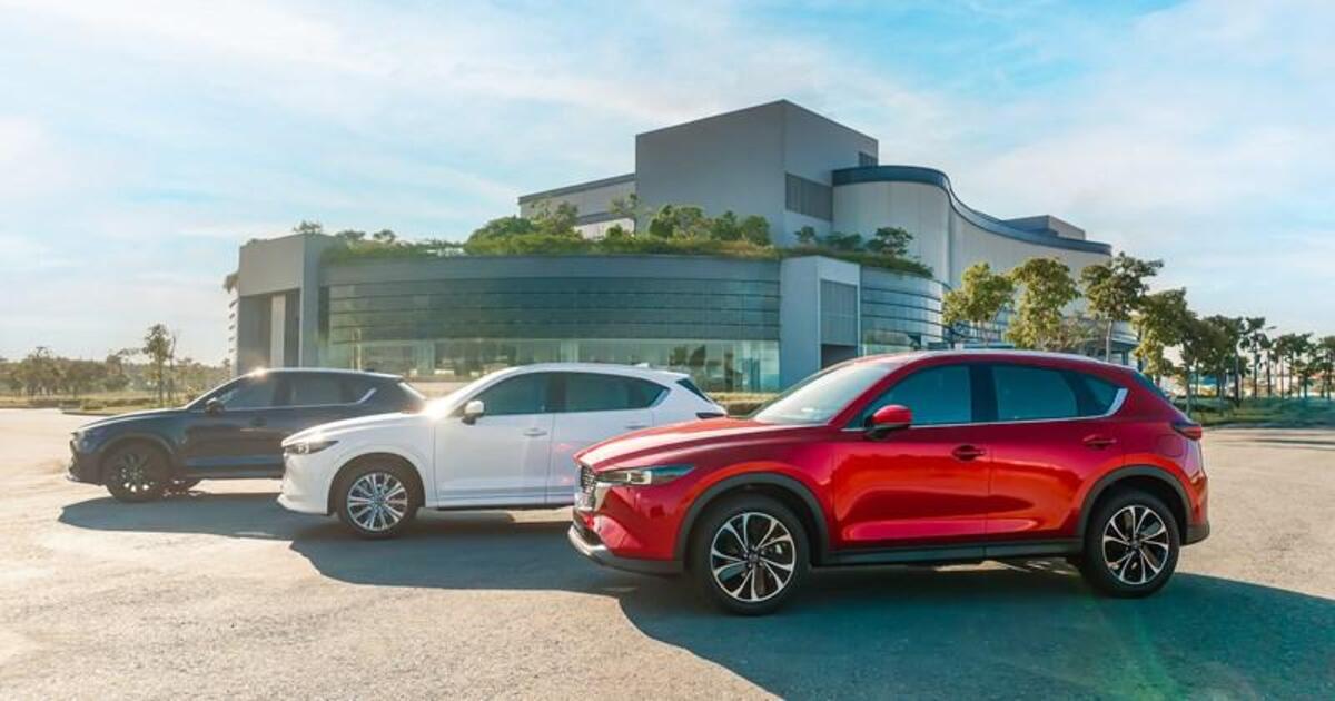 SUV và CUV đều có diện mạo mạnh mẽ và khả năng chinh phục nhiều địa hình tốt