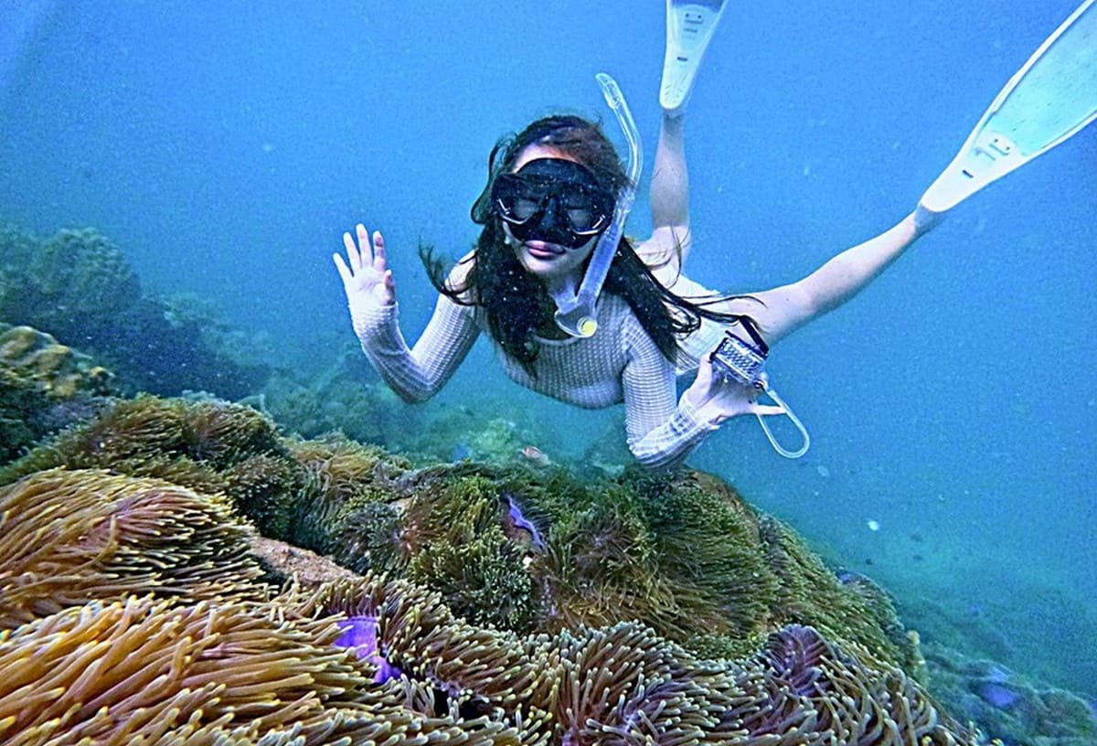 Tắm biển và lặn ngắm san hô