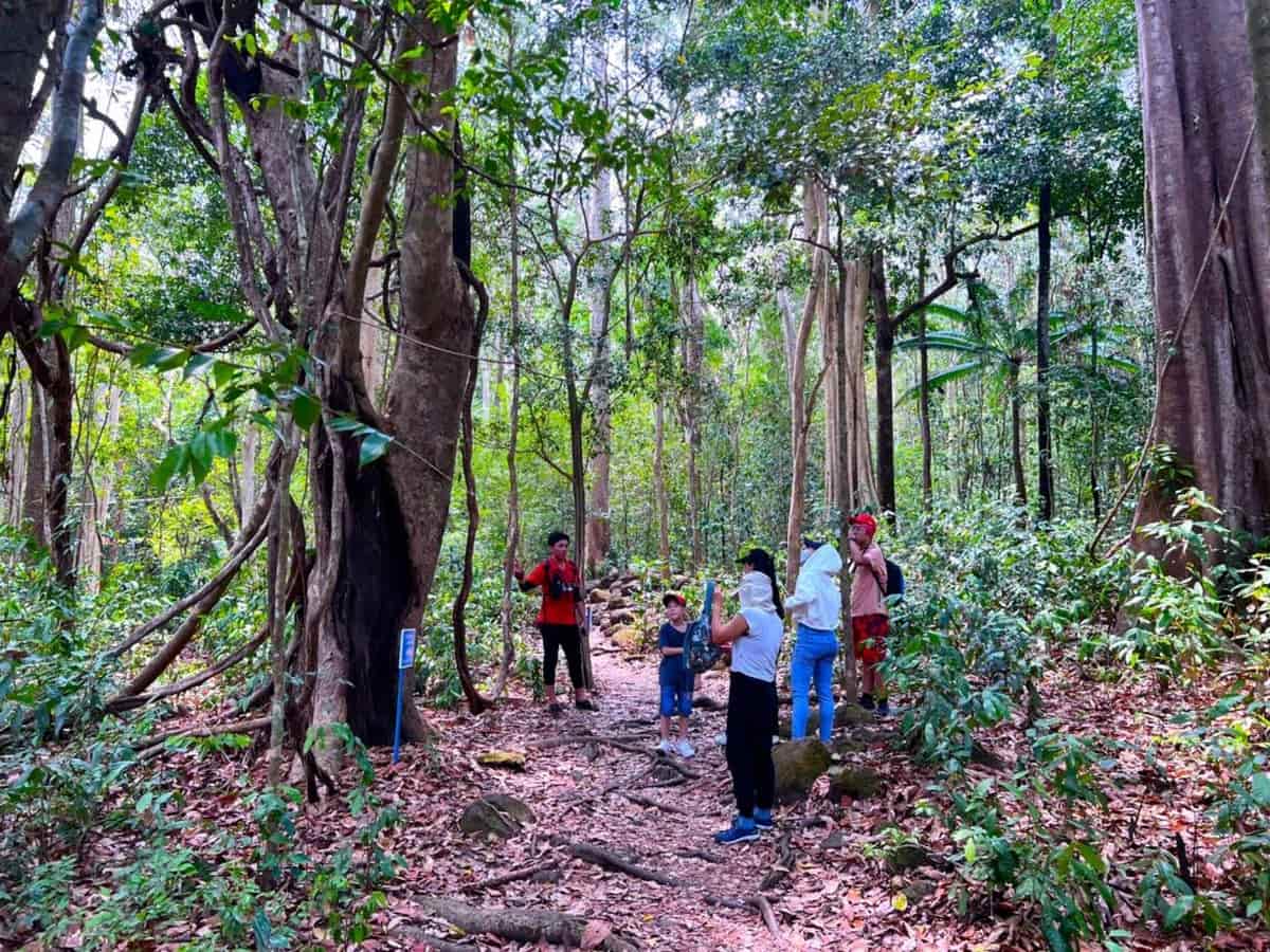 Tháng 12-4 là thời điểm thích hợp để đi trekking vườn quốc gia Cát Tiên