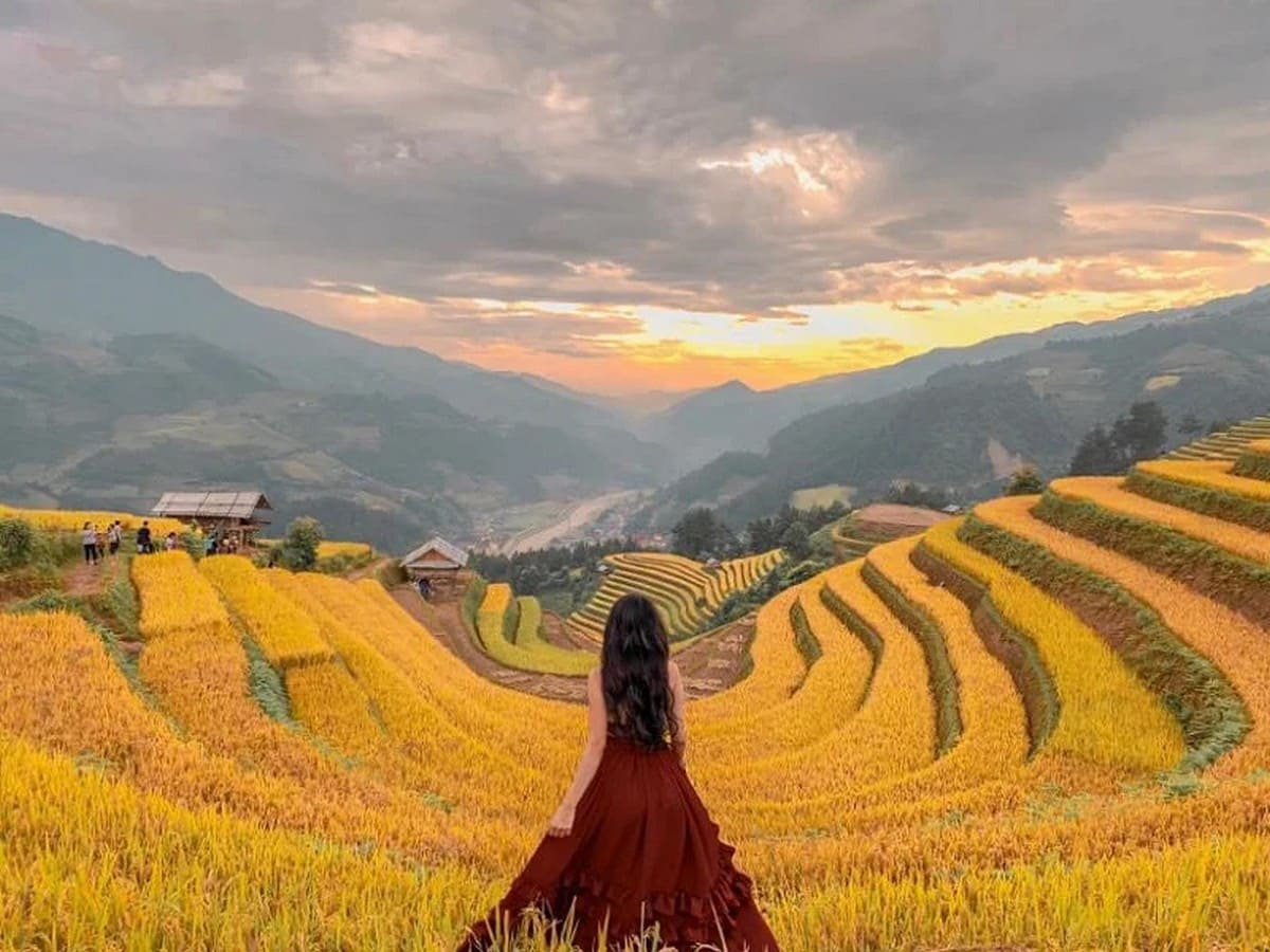 Tháng 9-10 là mùa lúa chín ở Yên Bái