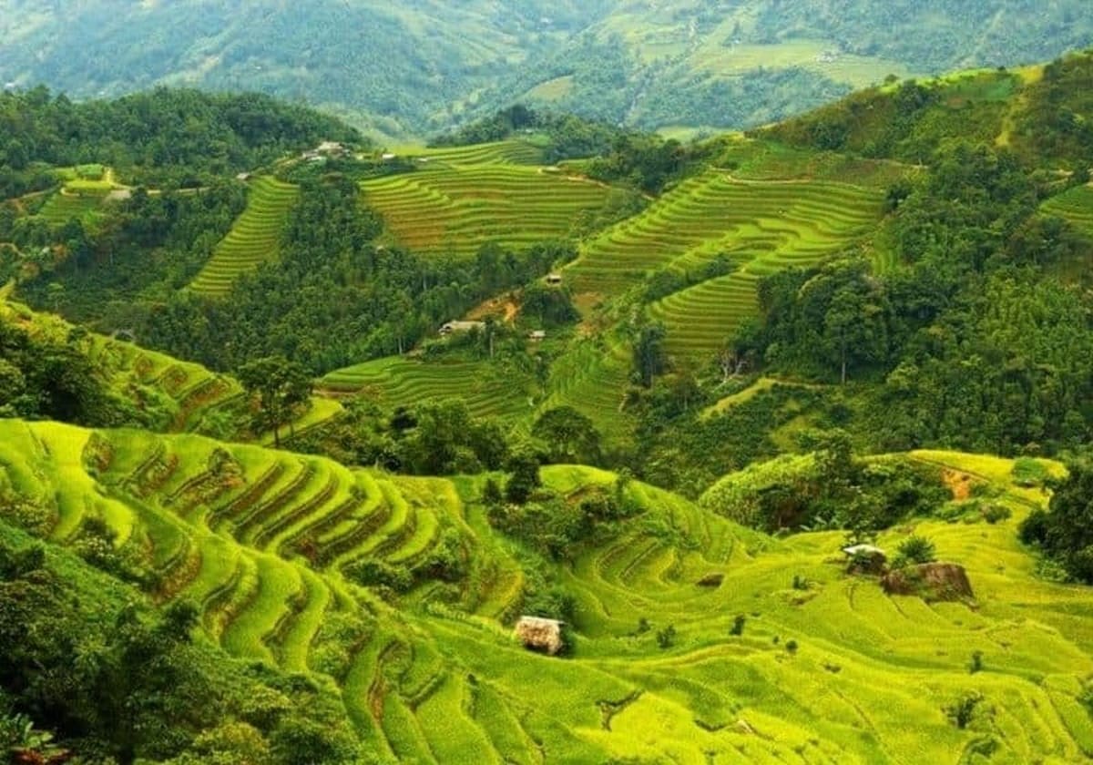 Thời gian lý tưởng để ngắm trọn vẻ đẹp Sơn La