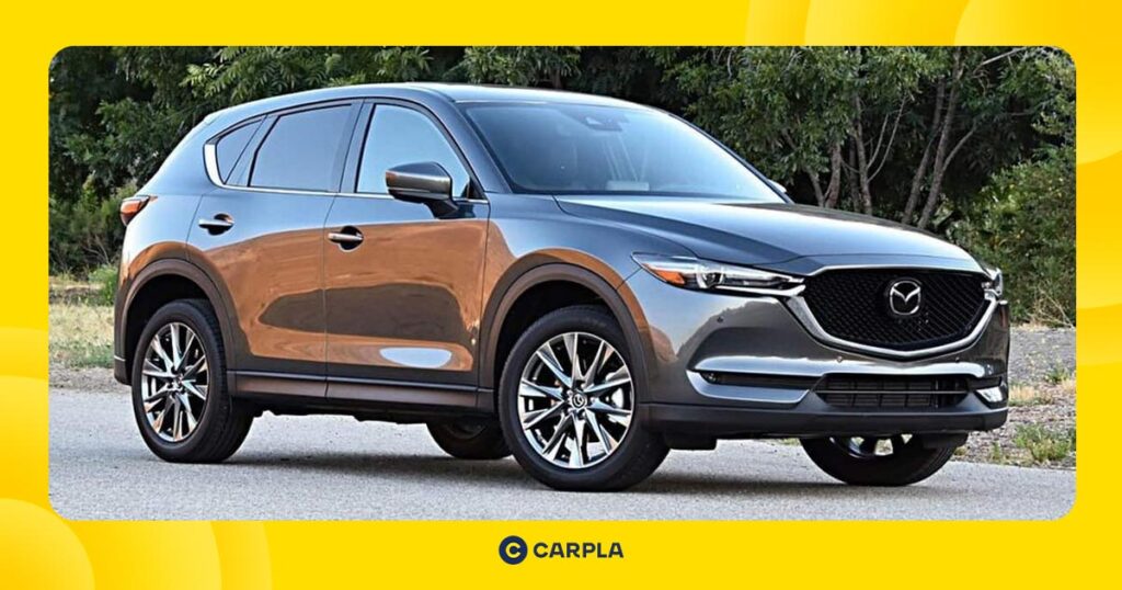 Top 3 đơn vị cung cấp dịch vụ thuê xe tự lái Quận 6 tiện lợi và dễ dàng