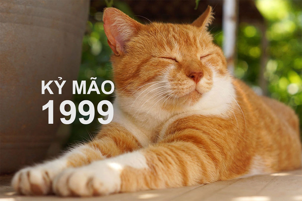 Tính cách của Kỷ Mão 1999 ra sao?
