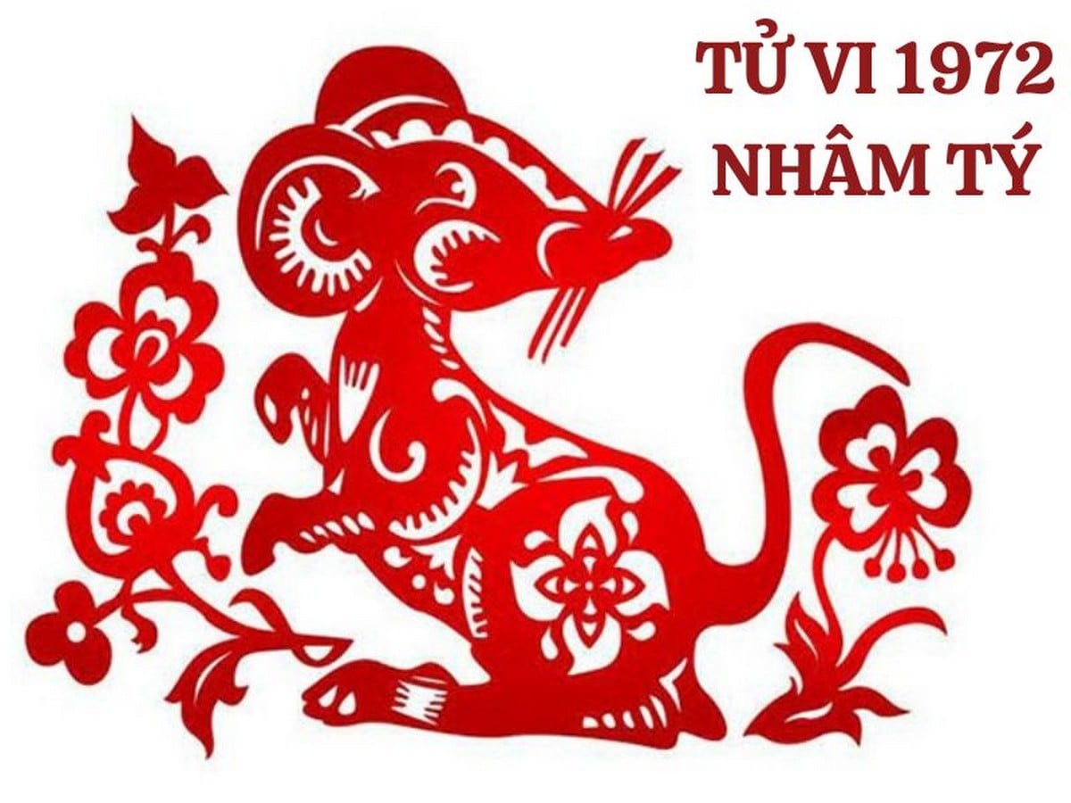Tổng quan tử vi tuổi Nhâm Tý