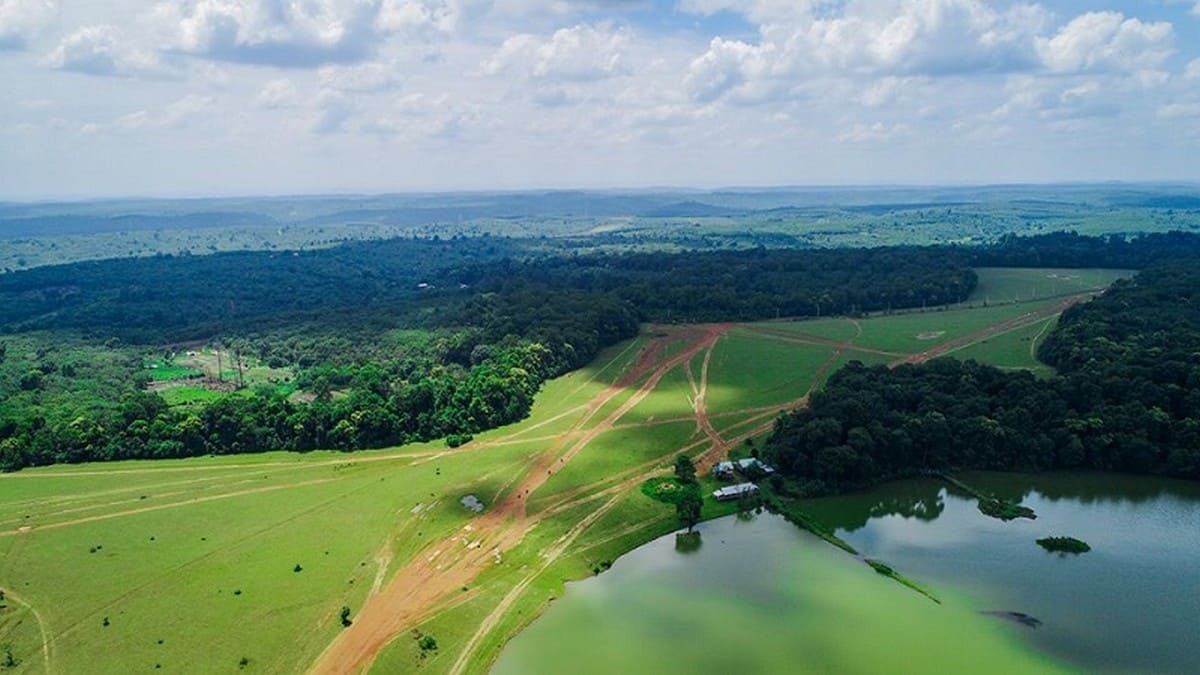 Trảng cỏ Bù Lạch