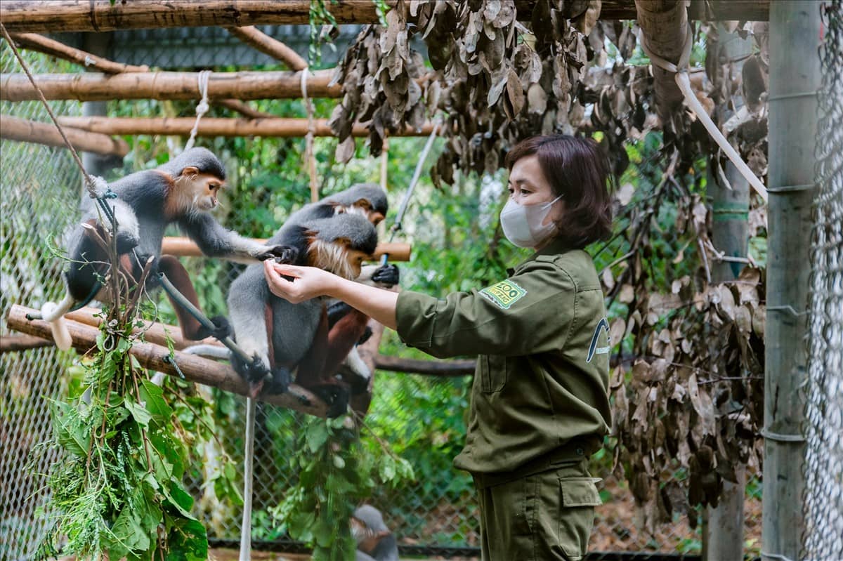 Trung tâm cứu hộ linh trưởng