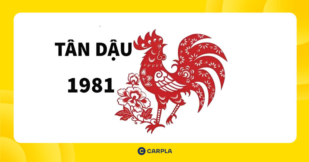 Vận hạn và may mắn tử vi tuổi Tân Dậu 1981 trong năm Ất Tỵ 2025