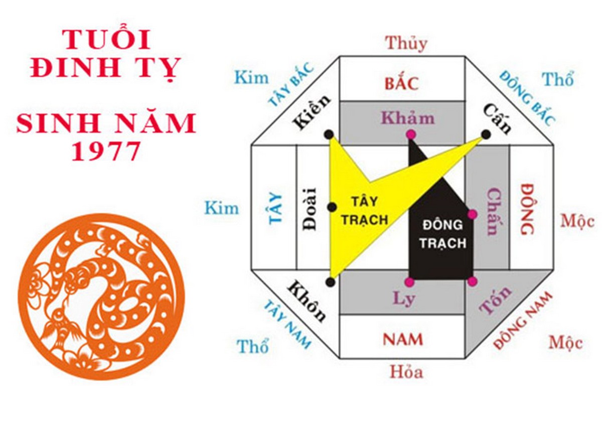 Tuổi Đinh Tỵ 1977 hợp hướng nào?