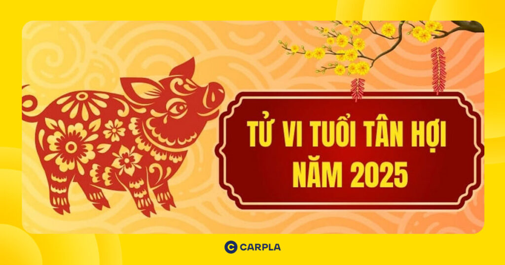 Vận hạn và may mắn tử vi tuổi Tân Hợi 1971 trong năm Ất Tỵ 2025