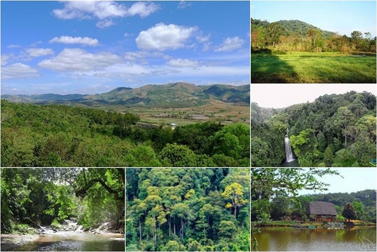 Vườn Quốc gia Chư Mom Ray