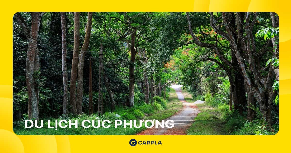 Du lịch vườn Quốc Gia Cúc Phương: Trải nghiệm xanh mượt cùng Carpla