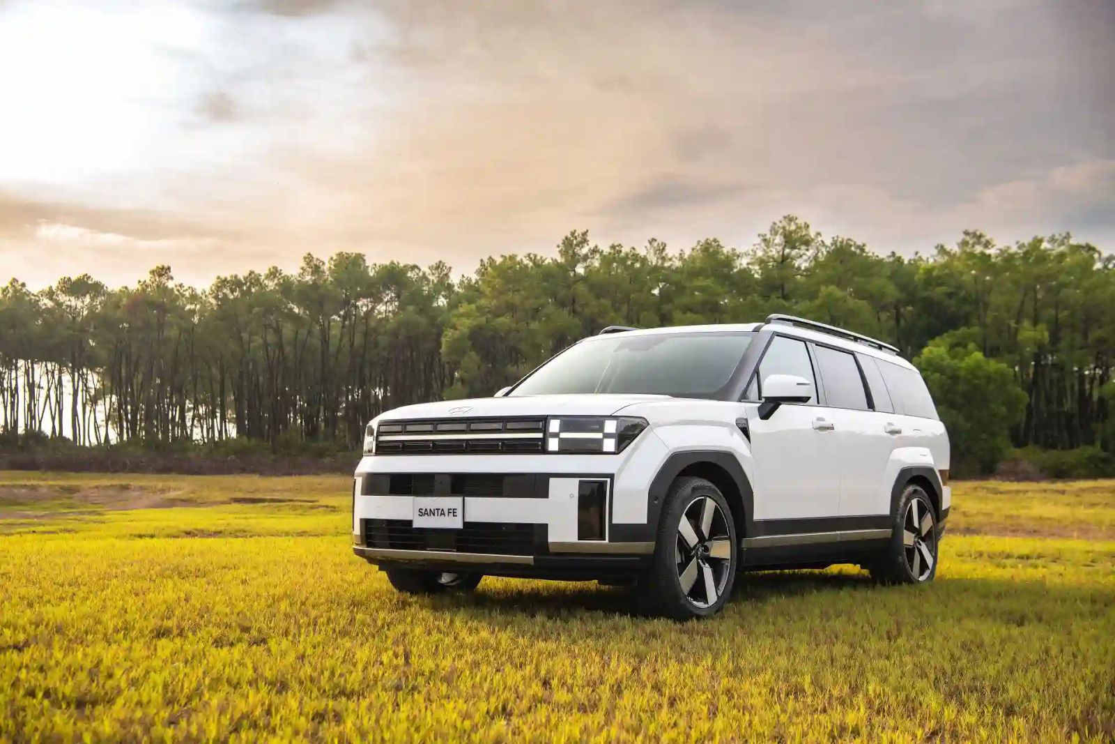 Hình ảnh xe HYUNDAI SANTA FE CALLIGRAPHY 2025