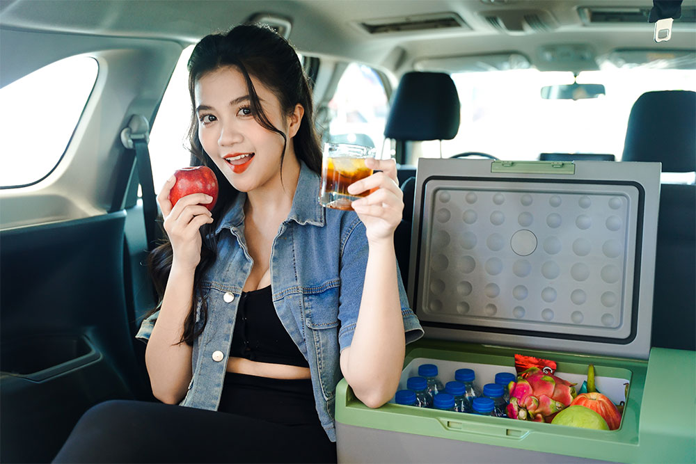 Hình ảnh xe Alpicool C15 - Tủ lạnh ô tô thông minh