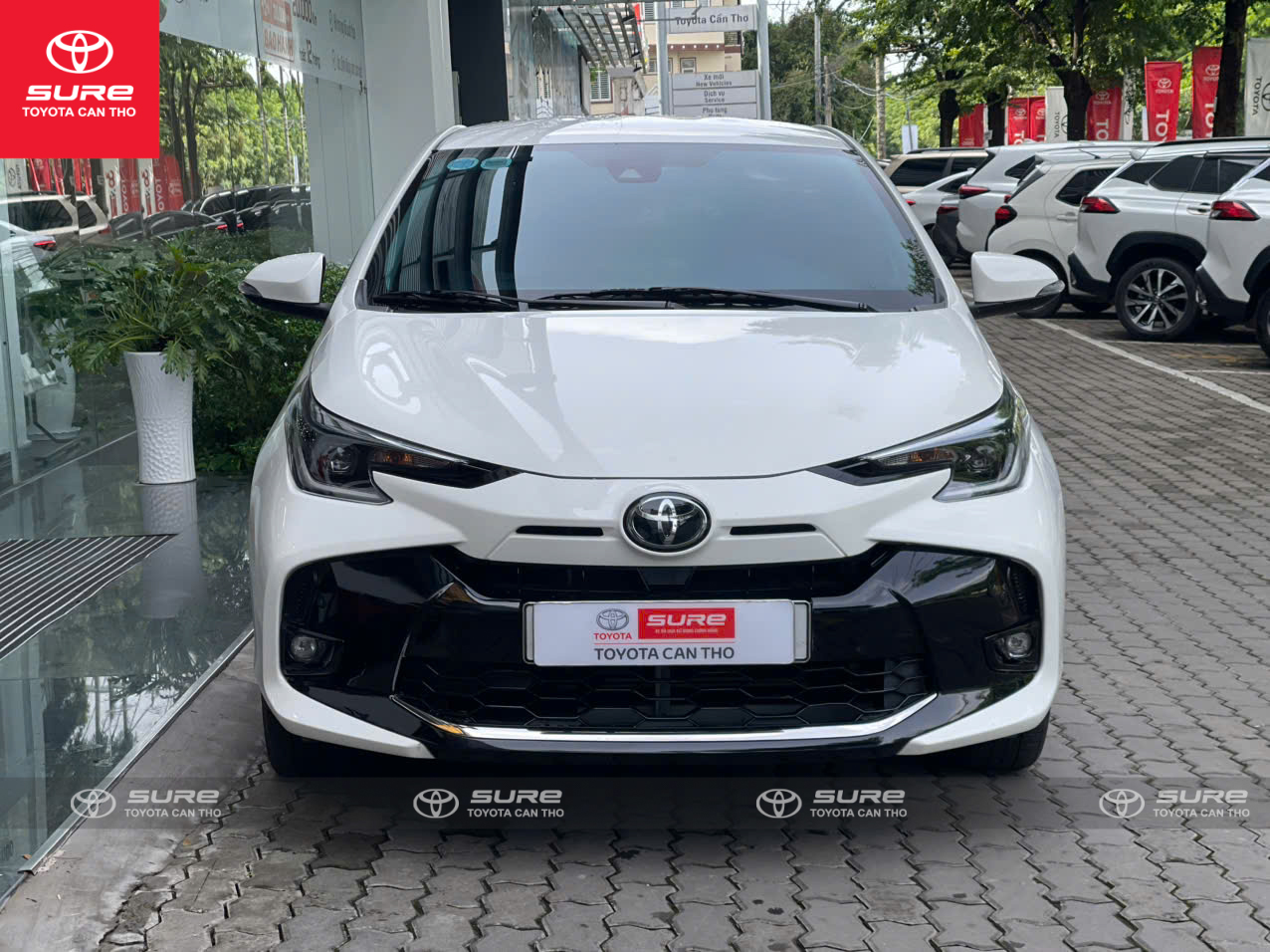 Hình ảnh xe TOYOTA VIOS G (CVT) 2023 - 22.000 Km