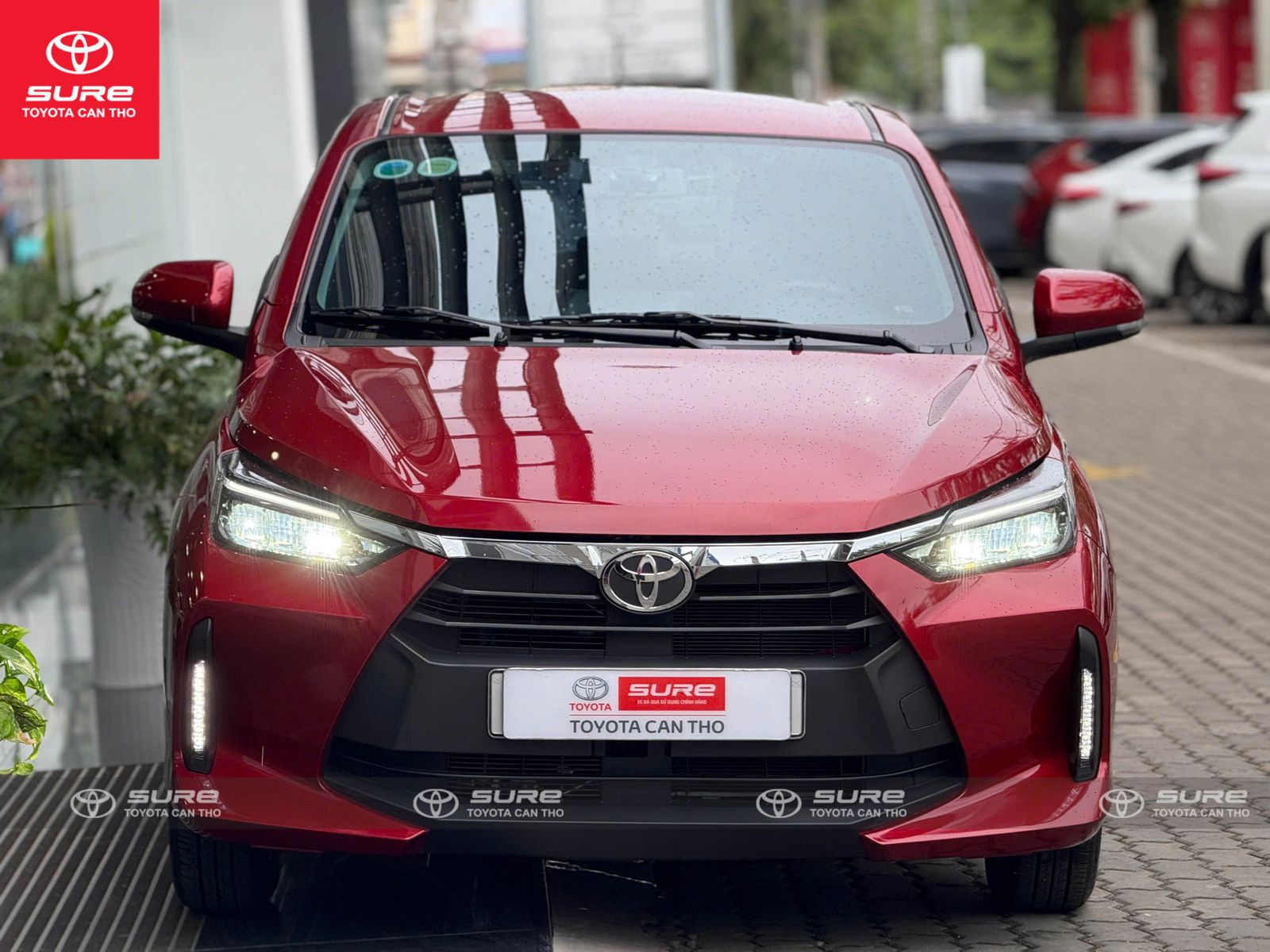 Hình ảnh xe TOYOTA WIGO 1.2G (CVT ) 2024 - 11,000 Km