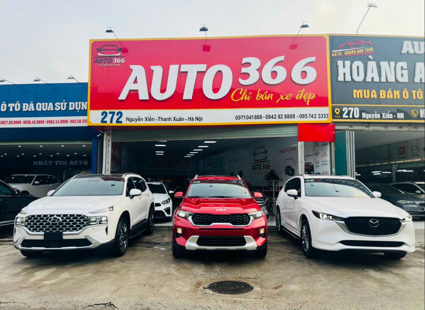 Avatar cửa hàng AUTO 366