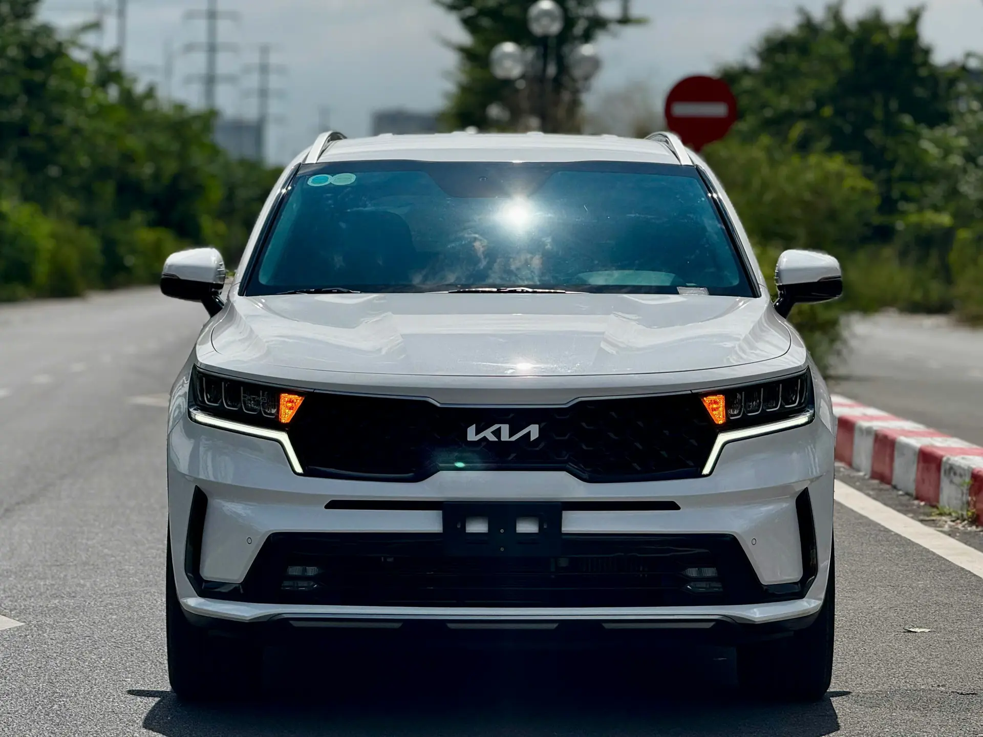 Hình ảnh xe KIA SORENTO 2.2D LUXURY 2024 - 12.000KM