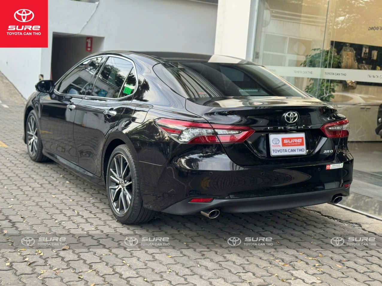Hình ảnh xe TOYOTA CAMRY 2.5Q (AT) 2021 - 24,000KM