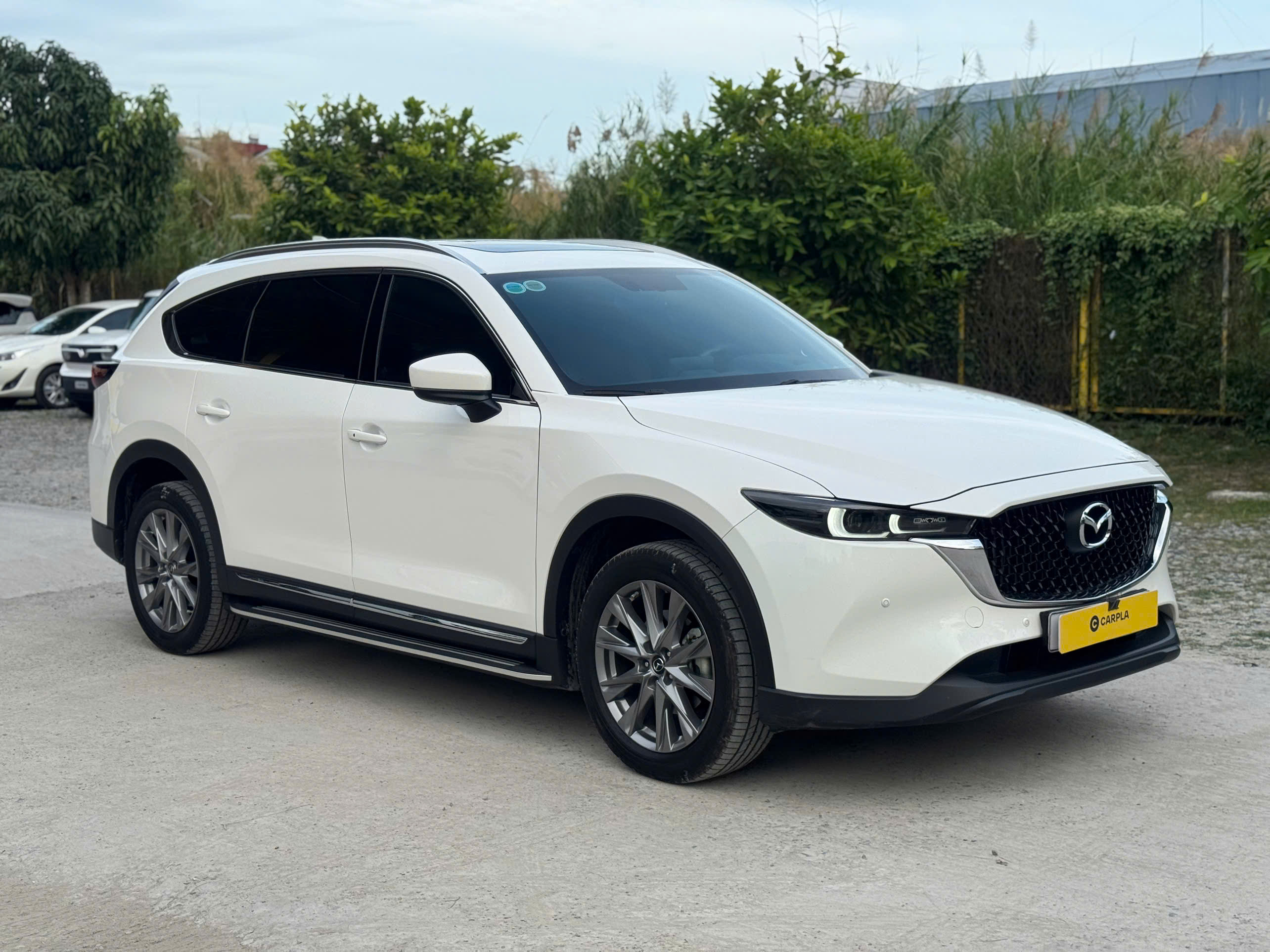 Hình ảnh xe MAZDA CX-8 LUXURY 2025 - 13.500KM